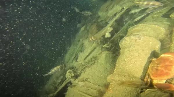 Un submarin german care a dispărut în Al Doilea Război Mondial a fost găsit acum, după 82 de ani