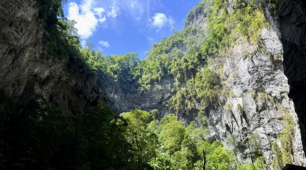 O dolină de 2 hectare și adâncă de 120 de metri a fost găsită în Vietnam și studiată timp de un an. Ce s-a găsit pe fundul ei