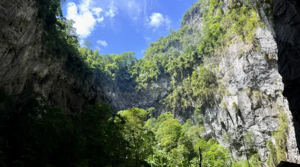 o dolina de 2 hectare si adanca de 120 de metri a fost gasita in vietnam si studiata timp de un an ce s a gasit pe fundul ei