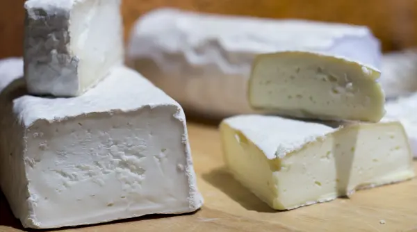 in bulgaria se vinde branza cu 70 apa in programul de alimente ieftine al lui radev scandal dupa controale