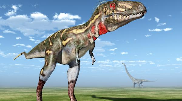 Scheletul unui dinozaur pitic, un gen de T.rex identificat recent, e scos la licitație pentru suma amețitoare de 6 milioane de dolari