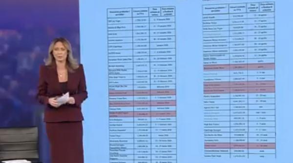 De la Cannes la Tokyo: 30 de milioane euro pentru deplasări externe la ARICE, în timp ce investițiile străine în România s-au prăbușit