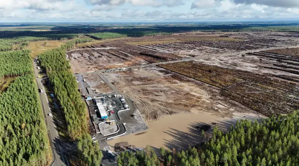 finlanda a deschis o ancheta dupa ce google a taiat 400 000 de copaci ca sa construiasca un centru de date
