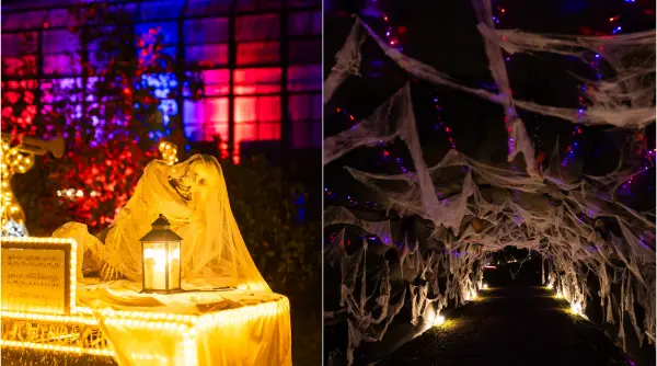 gradina botanica din bucuresti se transforma de halloween dovleci vrajitoare si sute de instalatii luminoase la lumina park
