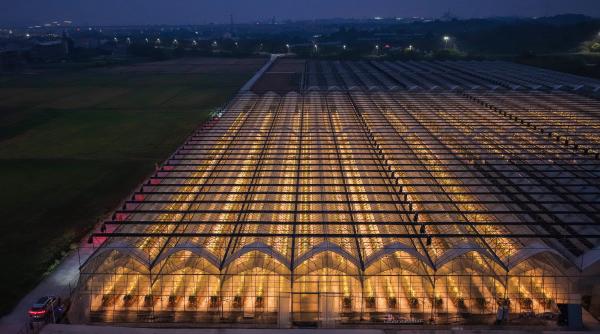 O dronă a surprins imagini cu o seră smart din China, noaptea. Complexul pare din filmele SF, dar aici se cultivă fructe tropicale