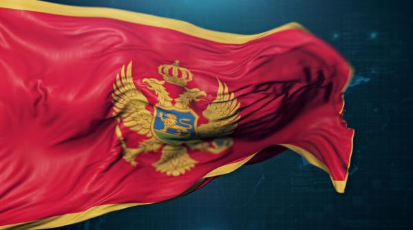 O femeie a dat în judecată Primăria Londrei, pe motiv că ambasada Muntenegrului, mutată în casa vecină, i-a afectat sănătatea mintală