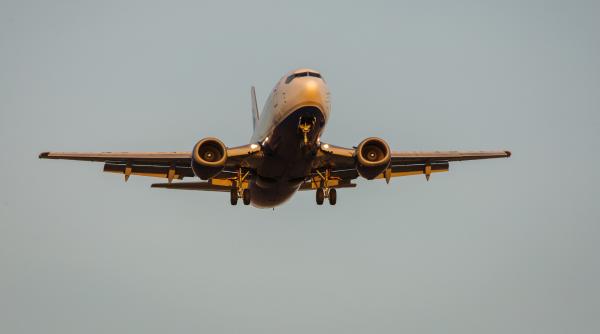 Scandal și risc de zboruri anulate: Compania aeriană românească Dan Air cere demisia CEO-ului Aeroportului Bacău și a șefilor Netopia