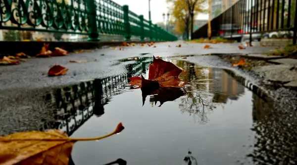 anm a emis prognoza speciala pentru bucuresti cum va fi vremea in capitala in weekend
