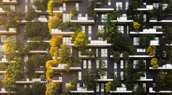 Milano a fost singurul oraș european în topul celor mai poluate din lume. Din 2019 a plantat 640.000 de pomi și nu se oprește aici