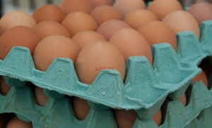 Alertă alimentară! Peste 300 de mii de ouă contaminate cu otravă de purici au fost vândute în Capitală și alte patru județe