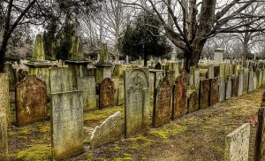 Gest revoltător într-un cimitir din Vaslui. Zeci de morminte au fost vandalizate