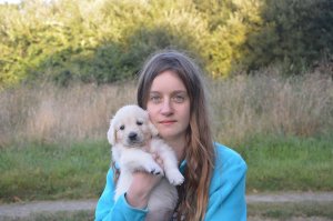 O tânără englezoaică a vrut să adopte un pui de câine din România. Ce a descoperit în clipa în care a primit animalul. A început să plângă în hohote: „A luat-o razna!“ VIDEO