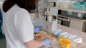 CORONAVIRUS. Gripa chinezească a ajuns în Europa. Două cazuri confirmate în Franța