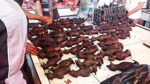 Sute de lilieci vânduţi într-o piaţă umedă din Indonezia, în plină pandemie. Imaginile care au şocat întreaga lume