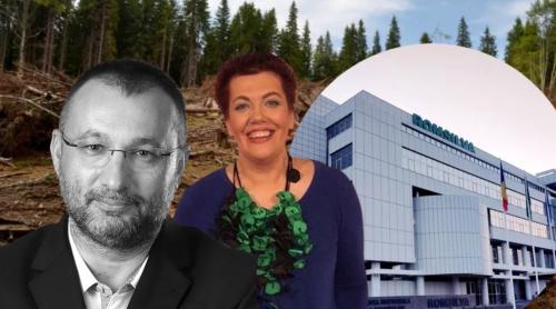 Contracte publice cu dedicație la Romsilva. Schema prin care banii publici ajungeau la specialiștii în consultanță