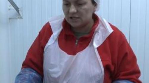 Afacerea cu care o familie din Sebeş a dat lovitura. Un kilogram poate ajunge la 140–150 lei