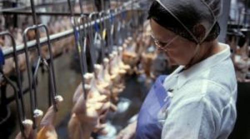 După patru ani, o cunoscută companie olandeză părăsește piața din România