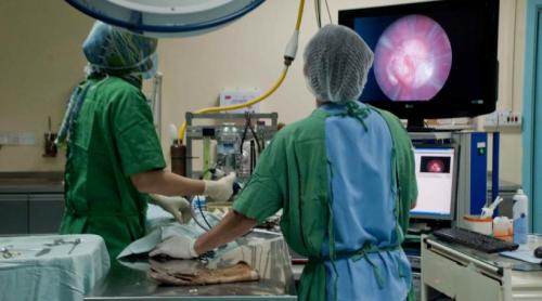 Medicii pot spune „Nu!” Noul An schimbă regulile pentru doctorii din România. Care sunt limitele „clauzei de conștiință” în medicină