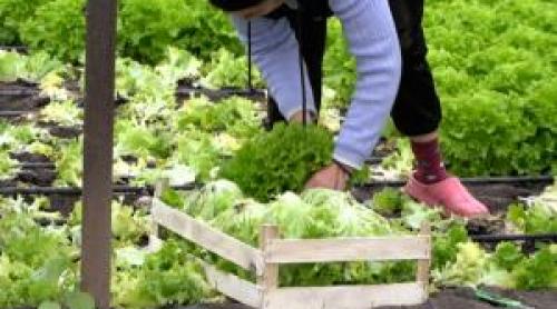 Nou impozit introdus pentru o categorie de români. "Taxă peste taxă"