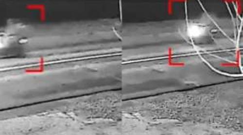 Tragedie în Ialomița! Un copil a fost ucis de un șofer beat, la mai puțin de 100 m de casă. Bărbatul a crezut că a lovit un câine