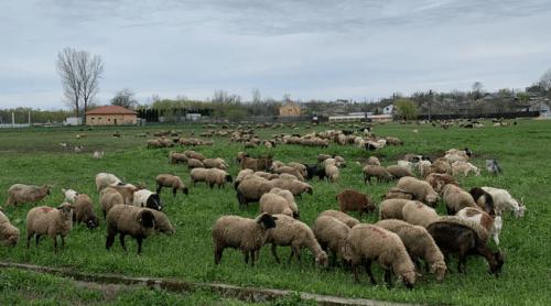 Categoria profesională rămasă fără jumătate din venituri. „I am spus tehnicianului că nu i mai pot da 7.000 lei”