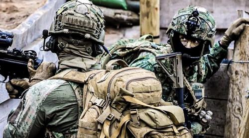 Cetățenii unei țări NATO, anunțați că armata le poate rechiziționa casele în caz de război