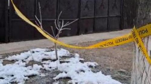 Cum ar fi încercat să îşi acopere urmele ce doi copii din Timiş suspectaţi că au omorât un băiat de 15 ani