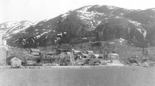 Cum au încercat Statele Unite să cumpere Groenlanda după al Doilea Război Mondial