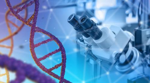 Descoperirea care rescrie înțelegerea noastră despre somn, unul dintre cele mai fundamentale procese biologice