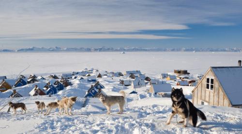 Donald Trump ar fi cerut armatei americane un plan de invadare a Groenlandei. Generalii încearcă să l facă să se răzgândească