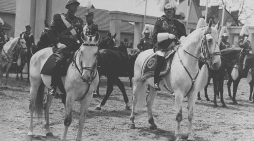 Eșecul copilului preferat al României. Parcursul prințului de vis al Casei Regale: de la tânără speranță la mare dezamăgire 