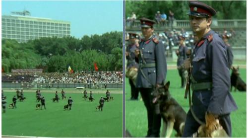 Filmul românesc celebru care a fost filmat pe stadionul lui Dinamo. E o comedie la care râd cu lacrimi sute de mii de români și astăzi, în care joacă unii dintre cei mai mari actori ai țării