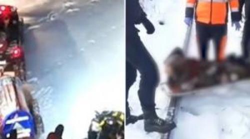 Ger și zăpadă aproape în toată țara: copaci căzuți, drumuri blocate și risc de hipotermie