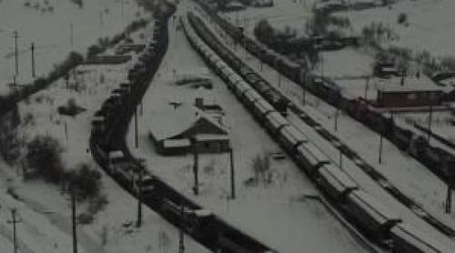 Marfa care se vinde acum ca pâinea caldă. Șoferii stau cu orele la rând să și încarce TIR urile