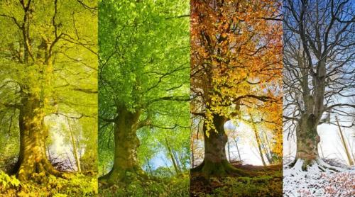 Ne luăm adio de la cele 4 anotimpuri? Anunțul care răstoarnă tot ce știam