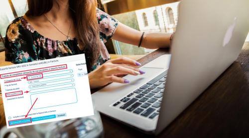 Persoanele fizice vor fi obligate să emită e Factura. Ce venituri trebuie declarate, conform deciziei Guvernului