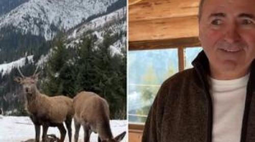 Turist, după ce ajunge la crescătoria de cerbi din Suceava: "Așa ceva nu știu dacă mai este undeva în ţară"