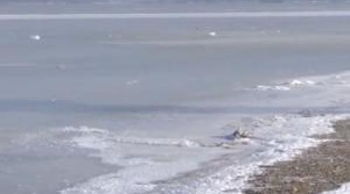 Un lac sărat a îngheţat complet, pentru prima dată. "Niciodată nu am văzut aşa ceva"