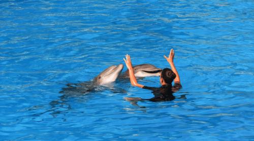 Unde fac românii plajă când acasă e ger: „În paradisul ăsta ieșim din mare doar cât să ne ghiftuim”