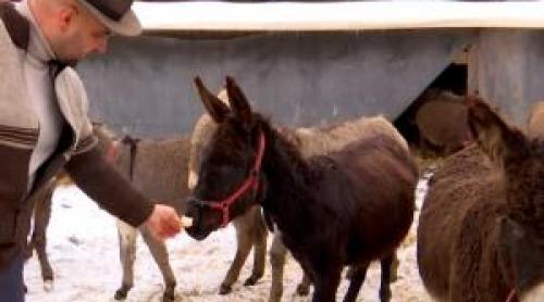 Afacerea pornită de o familie din Gorj pe locul unei foste gropi de gunoi. Un litru costă 100 de lei