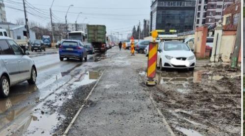 Declararea zonei Serele Militari pădure urbană: 10 ani de luptă cu autoritățile, două hotărâri de consiliu local și nimic rezolvat în teren