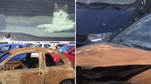 Oraşul în care autoturismele abandonate sufocă parcările. "Zici că e cimitir de maşini"