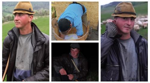 Tânărul ciobănaș Ionuț Lazăr a scos la iveală realitatea dură a crescătorilor de animale! Câți bani primea pe litrul de lapte? „Asta e batjocură!”