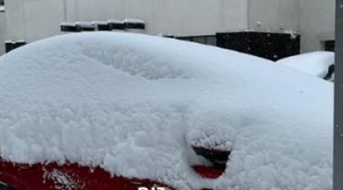 Vedeta străină care a fost şocată de ce a găsit în Bucureşti, după ninsoarea abundentă! Nu i a venit să creadă