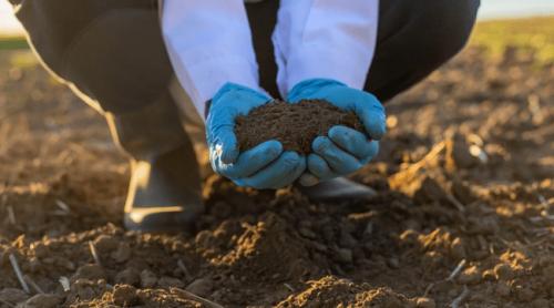 Afacerea cu care a dat lovitura un tânăr de 16 ani, după ce a refuzat o ofertă de 300 de mii de dolari