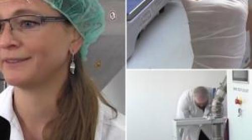 Afacerea pornită de o elveţiancă, după ce s a mutat în Arad. Un kilogram costă 35 de lei