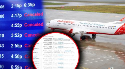 AnimaWings anulează zboruri în serie! Pericol de faliment? Deși are sute de procese pe rol, compania spune că nu are probleme financiare