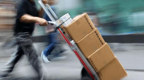 Ce a găsit un bărbat în coletul pe care îl comandase de pe Temu: „Era viu. Sunt șocat, putea fi mult mai grav”