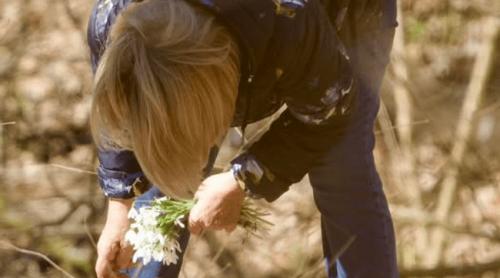 Dilema ghiocelului. O fotografie distribuită de Lucian Mîndruță a încins Facebook ul: „Mașina în care s a urcat costa 50.000 de euro”