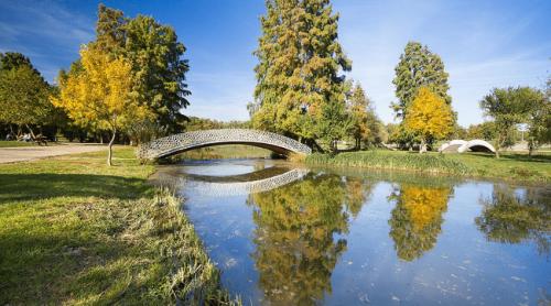 Istoria mai puțin știută a unuia dintre cele mai mari parcuri din București. Zona se numea Valea Plângerii și găzduia munți de gunoi care ajungeau și la 14 metri